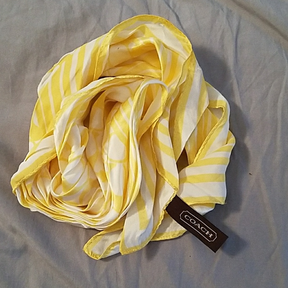 Coach neckerchief